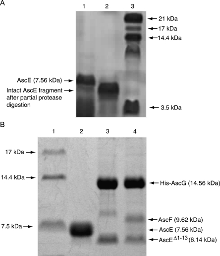 Figure 4.