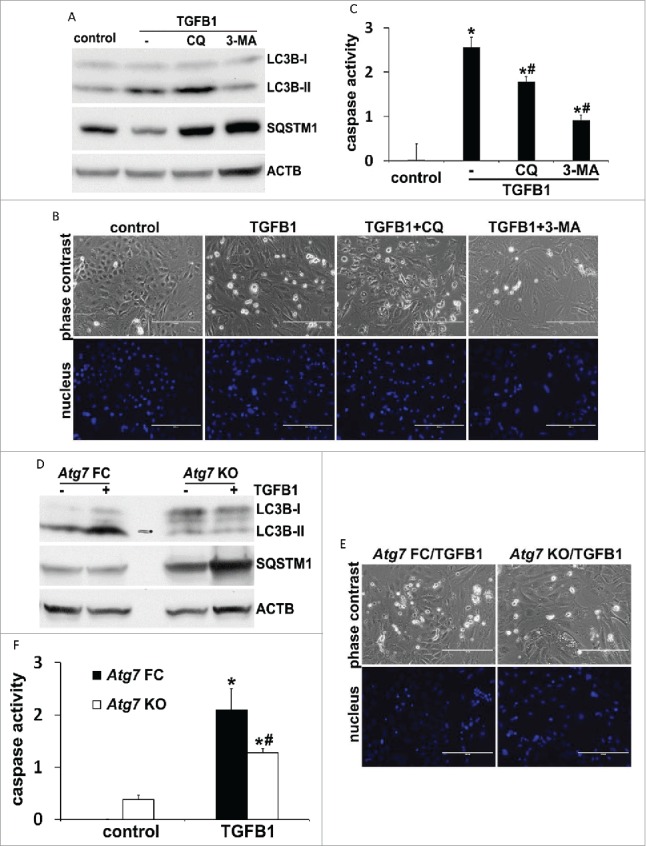 Figure 10.