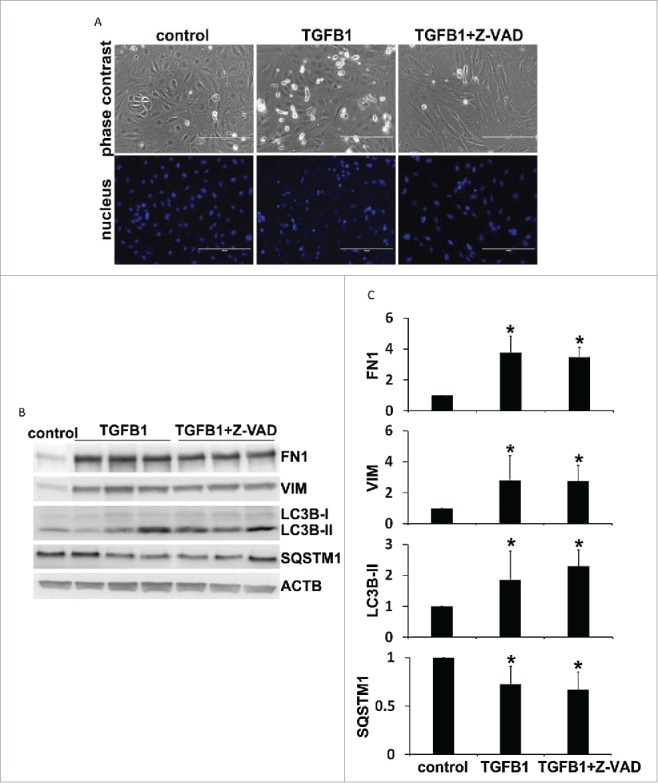 Figure 12.