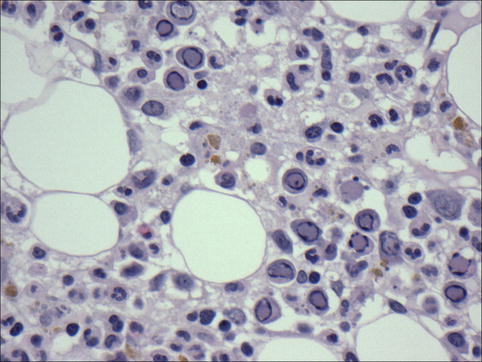 Fig. 16.1