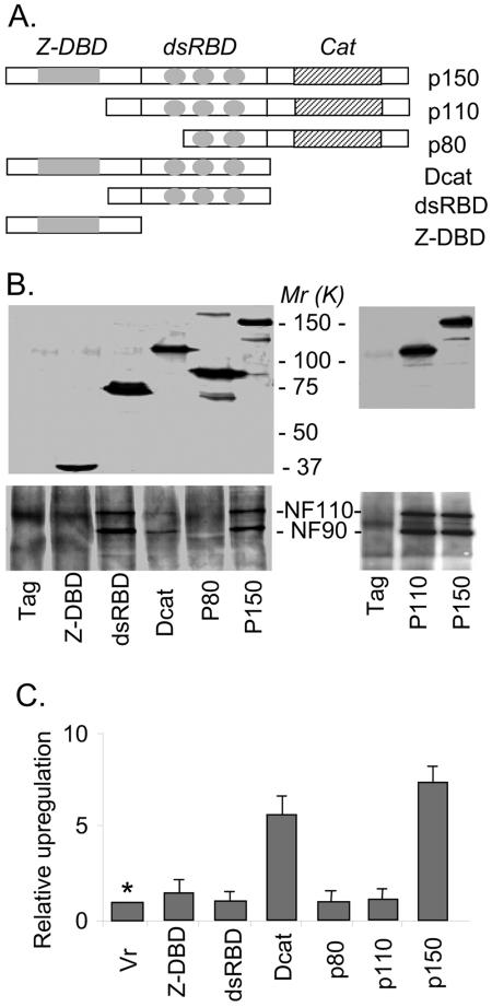 FIG.6.