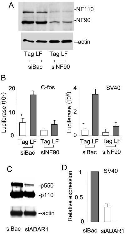 FIG. 5.