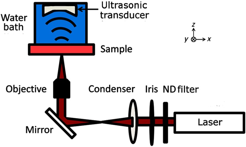 Fig. 1