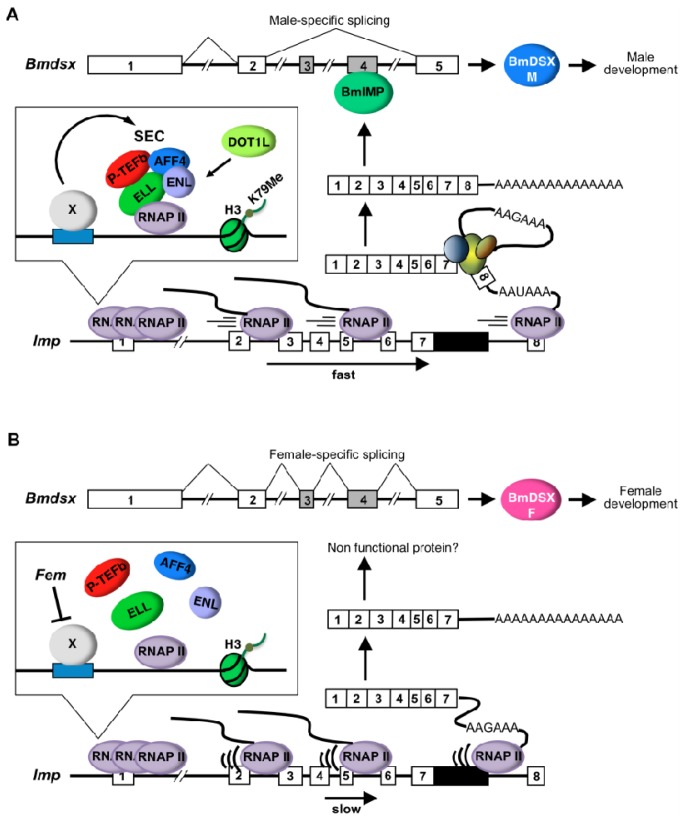 Figure 6.