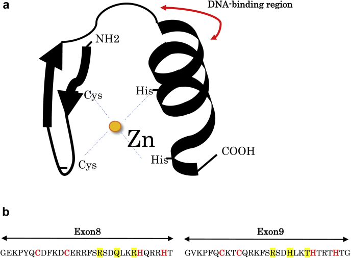 Figure 1