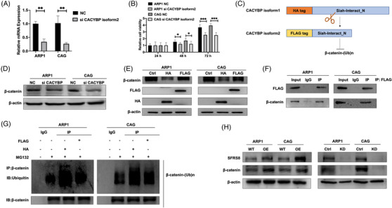 FIGURE 3