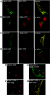 FIG. 4.