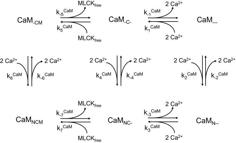 Fig. 3.