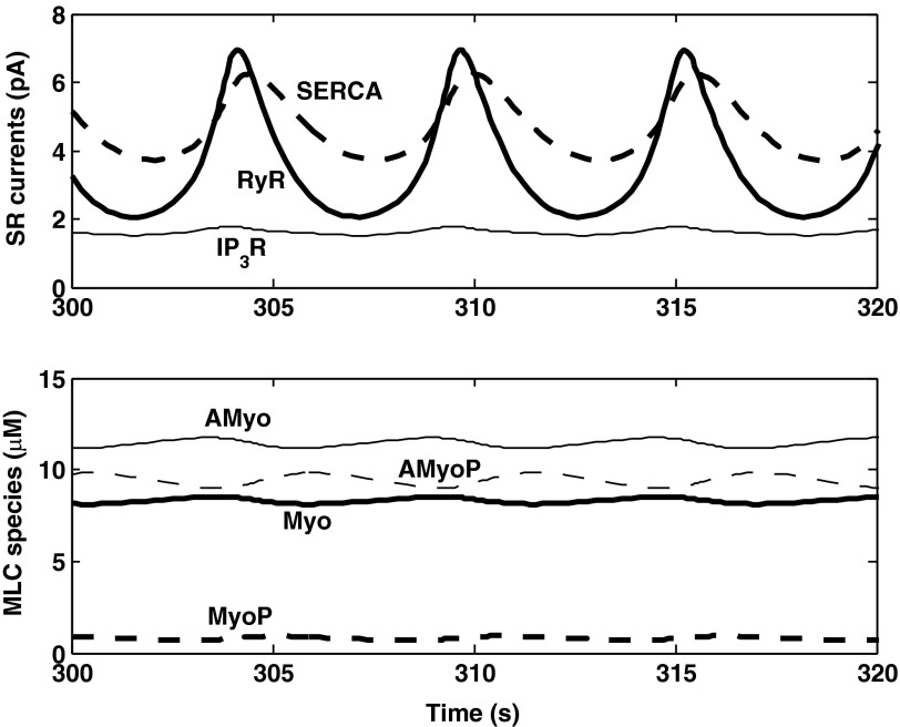 Fig. 6.