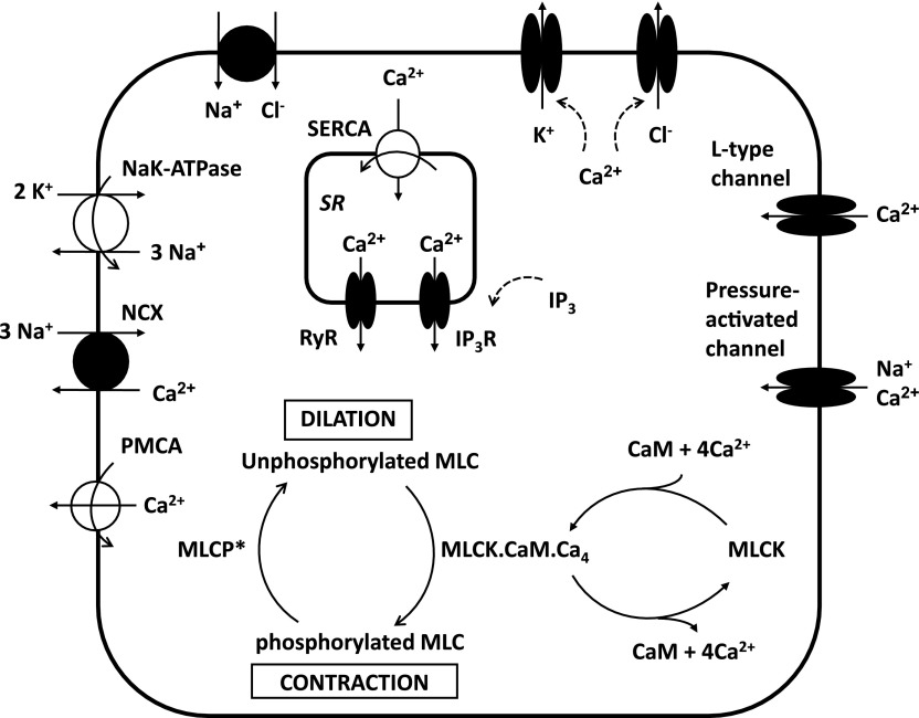 Fig. 1.