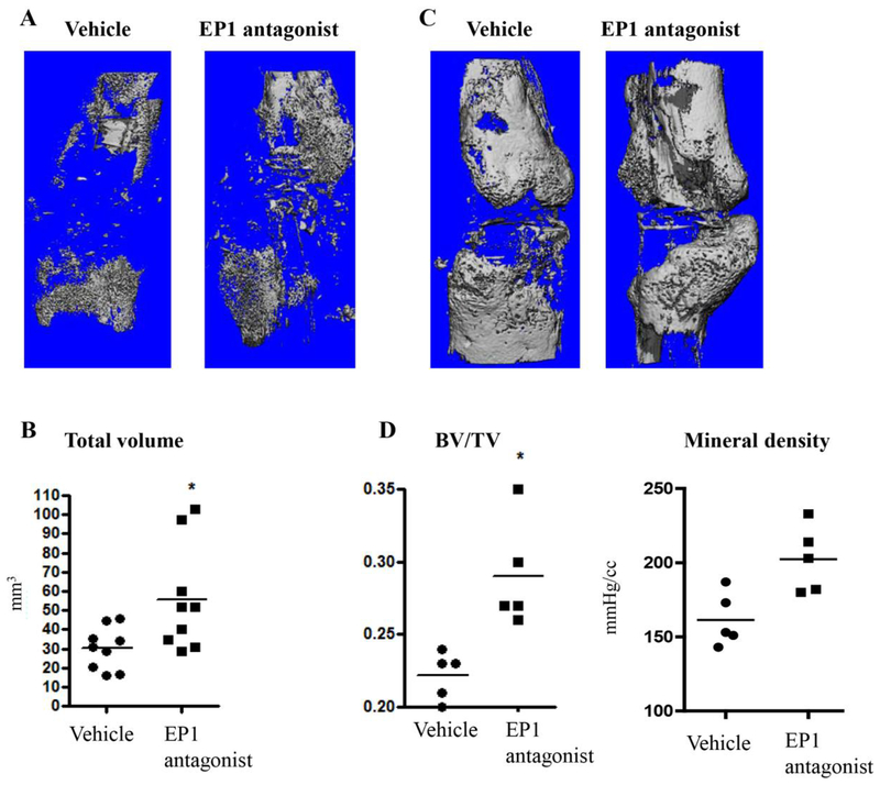 Figure 5: