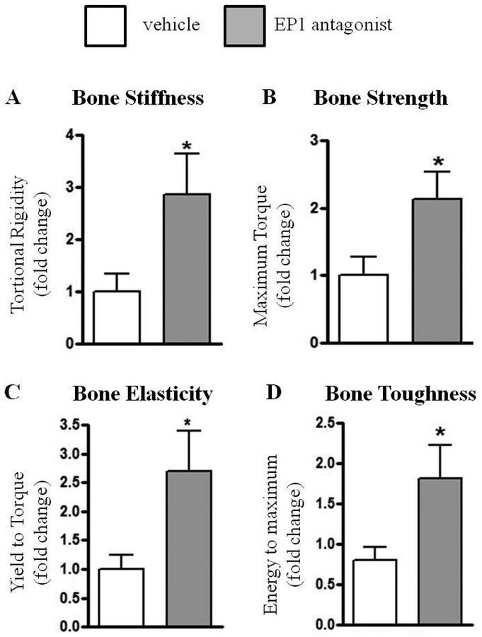 Figure 6: