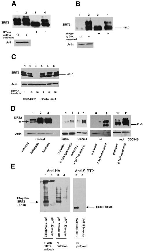 FIG.5.