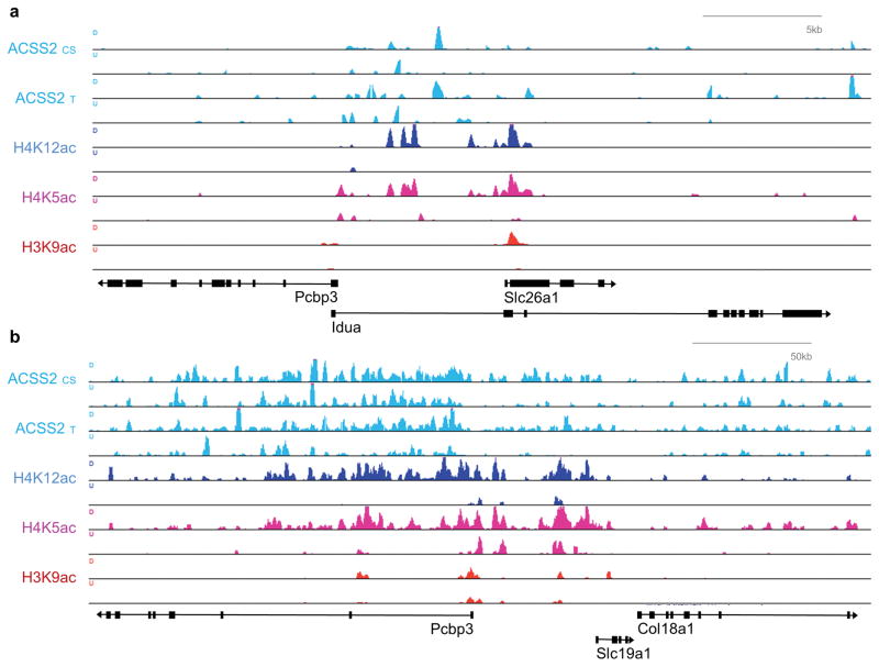 Extended Data Figure 4