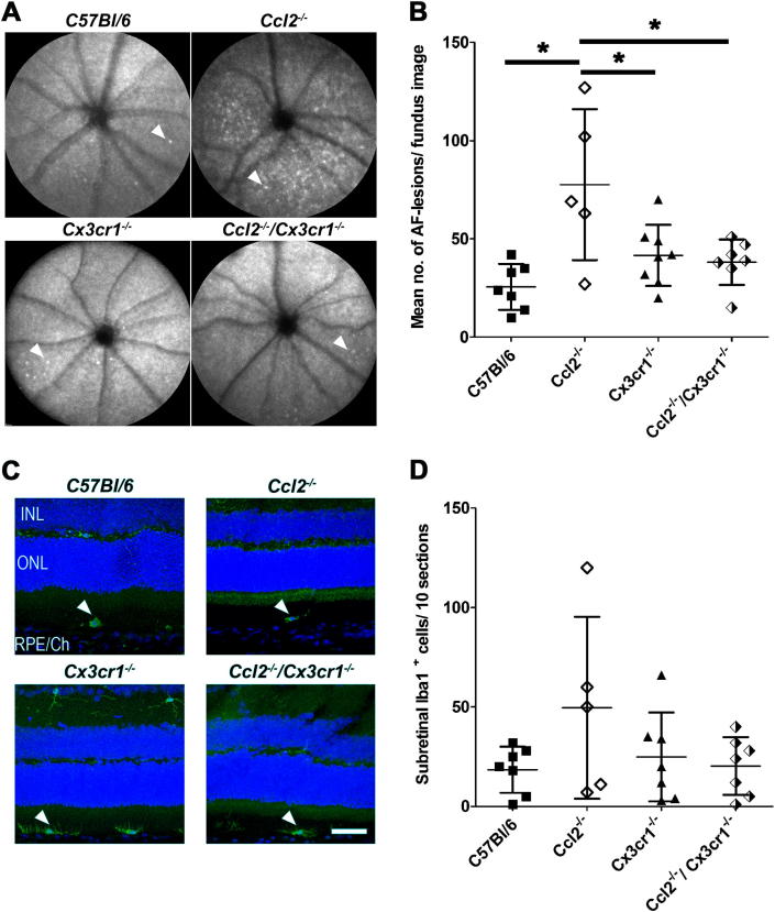 Fig. 1