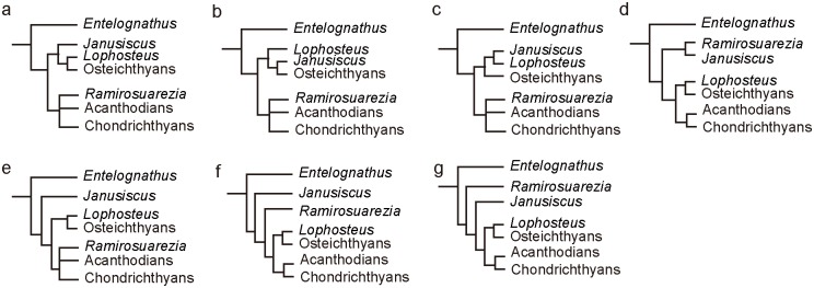 Fig 6