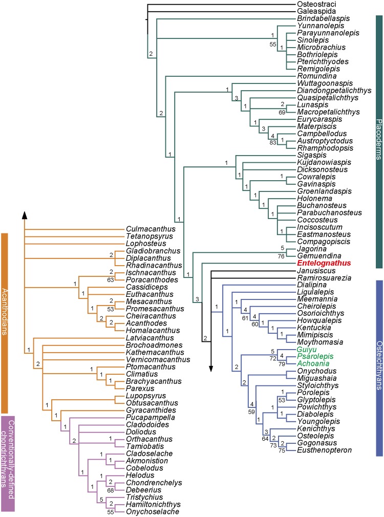 Fig 3