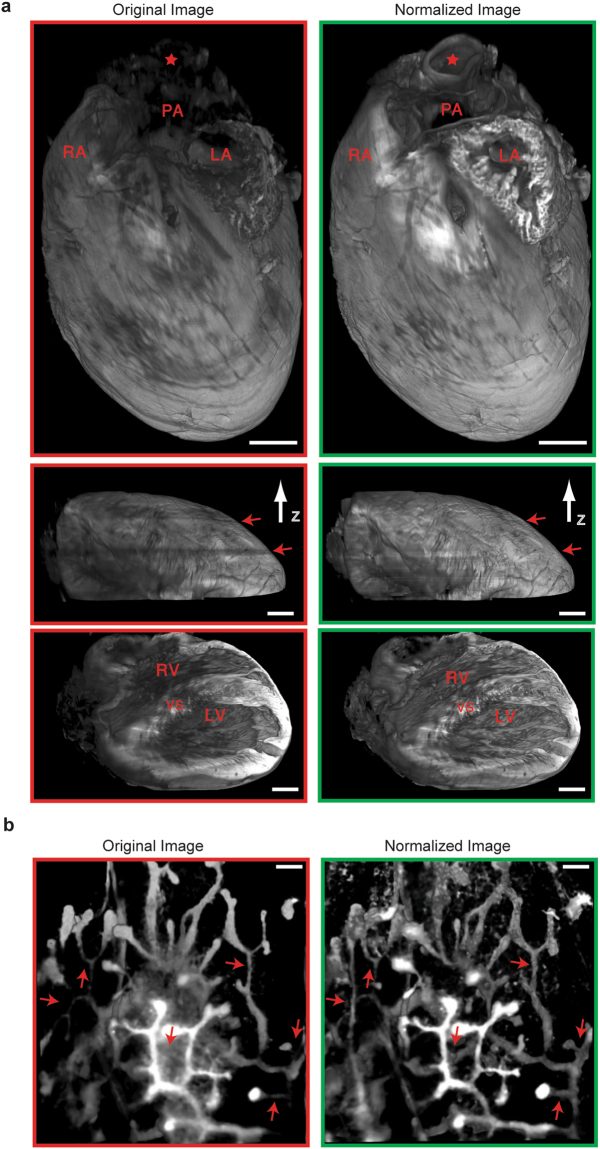 Figure 6