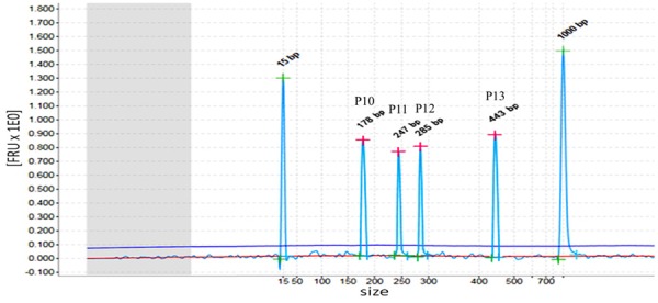 Figure 6