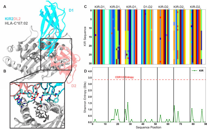 Figure 3—figure supplement 2.