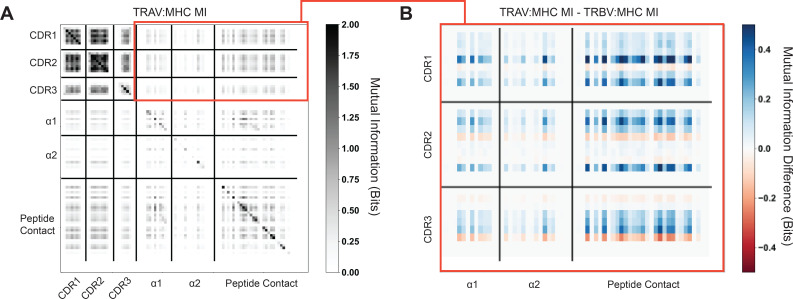 Figure 2—figure supplement 1.