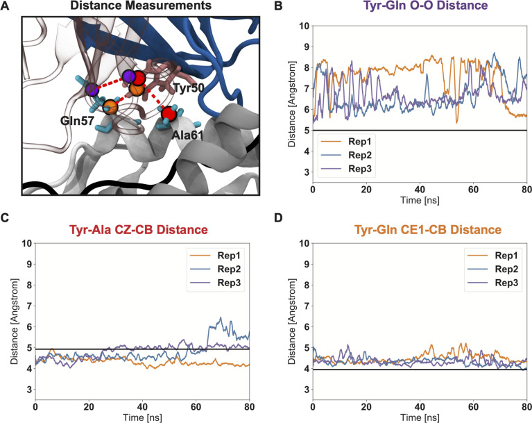 Figure 9—figure supplement 1.