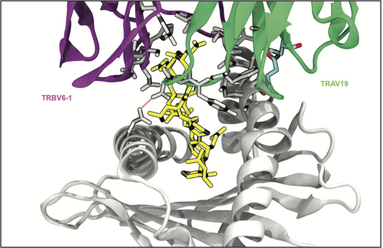 Figure 5—figure supplement 3.