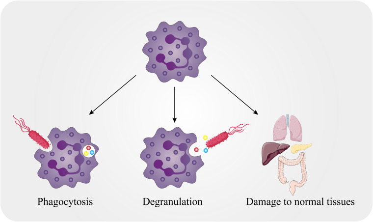 Figure 1