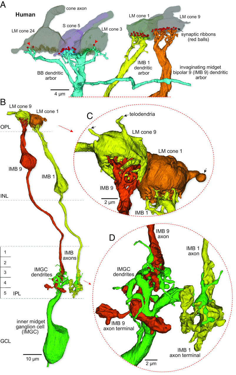 Fig. 3.