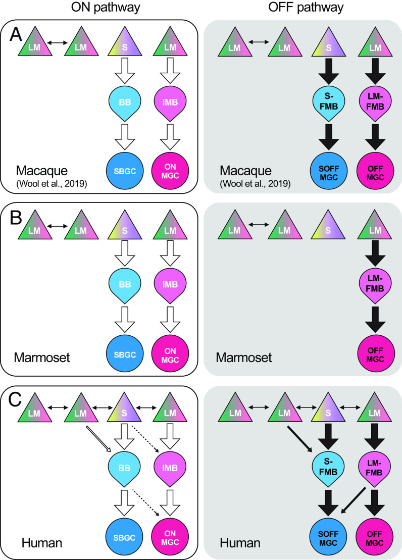 Fig. 7.