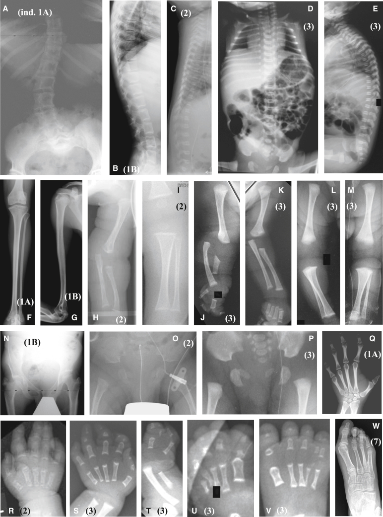 Figure 2