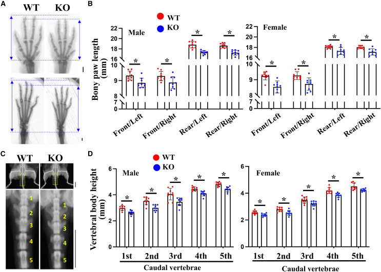 Figure 6