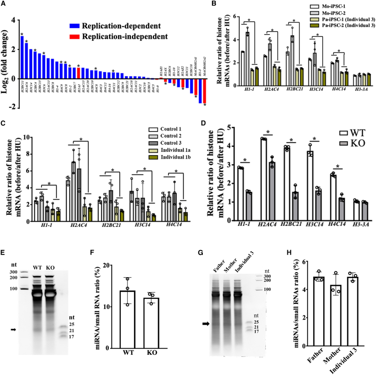 Figure 4