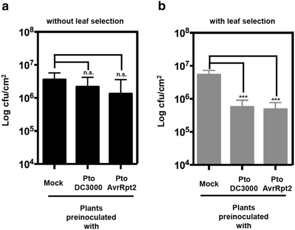 Fig. 7