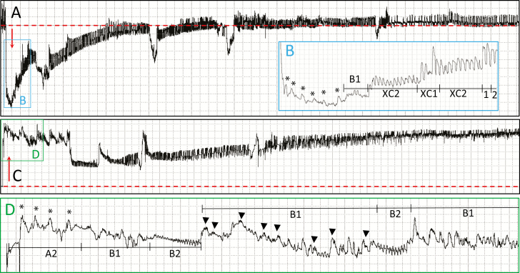 Fig. 4.