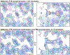 Extended Data Fig. 6 |