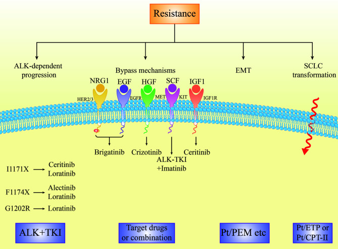 Figure 4