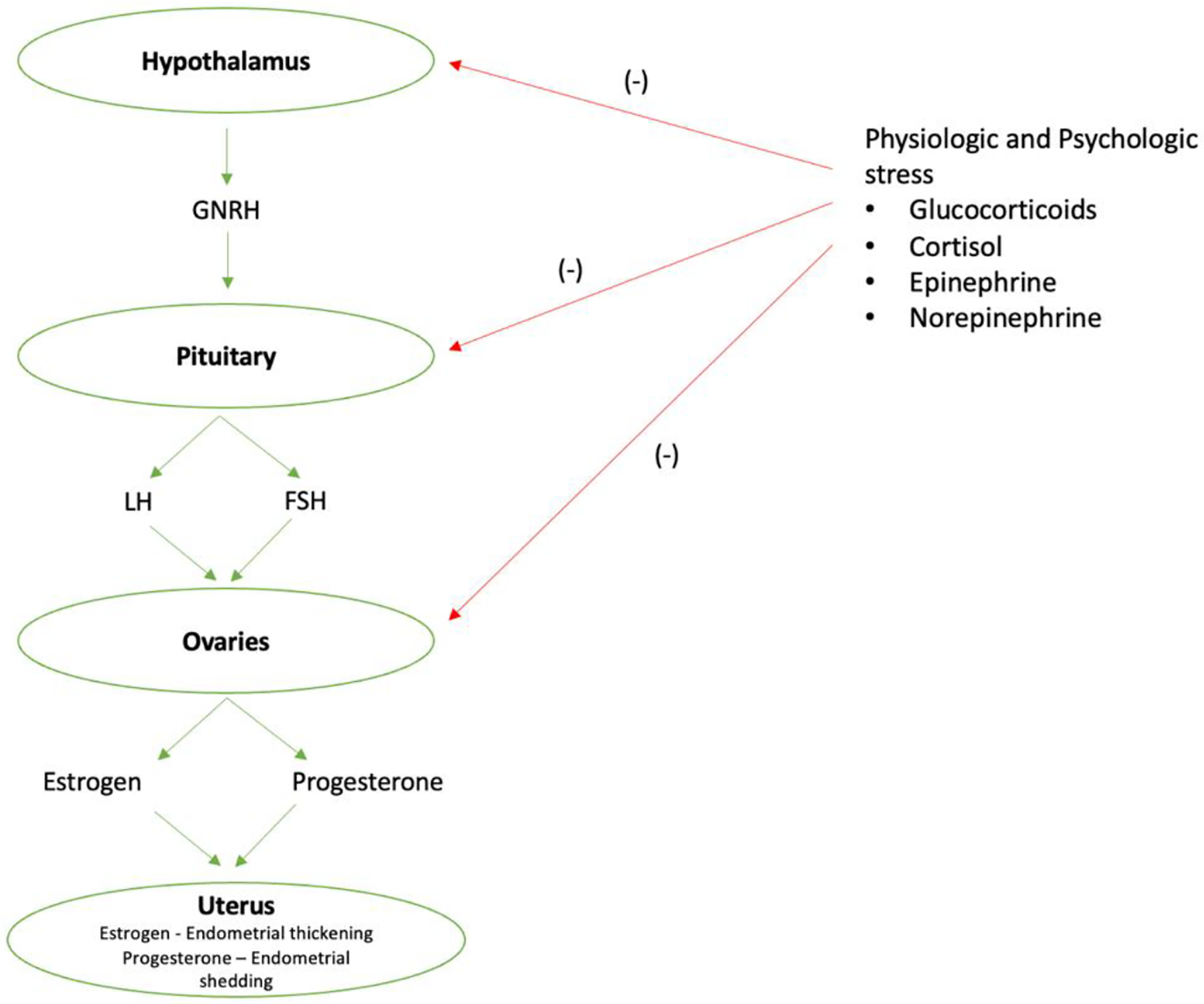 Fig 2.