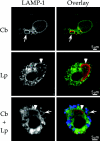 FIG. 4.