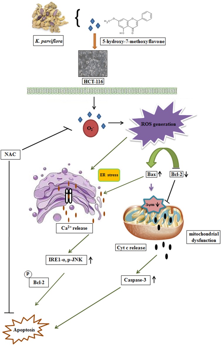 Fig 7