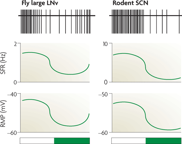 Figure 3 |