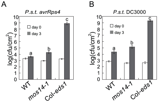 Figure 7