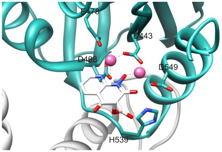 Figure 6