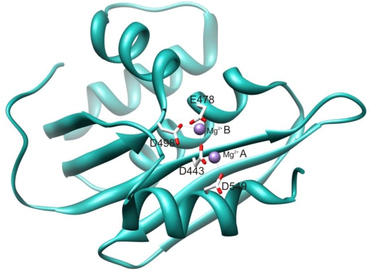 Figure 2