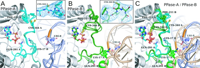 Figure 6.