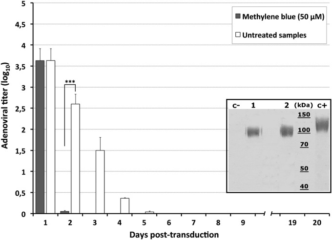 FIG 2