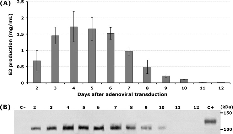 FIG 1