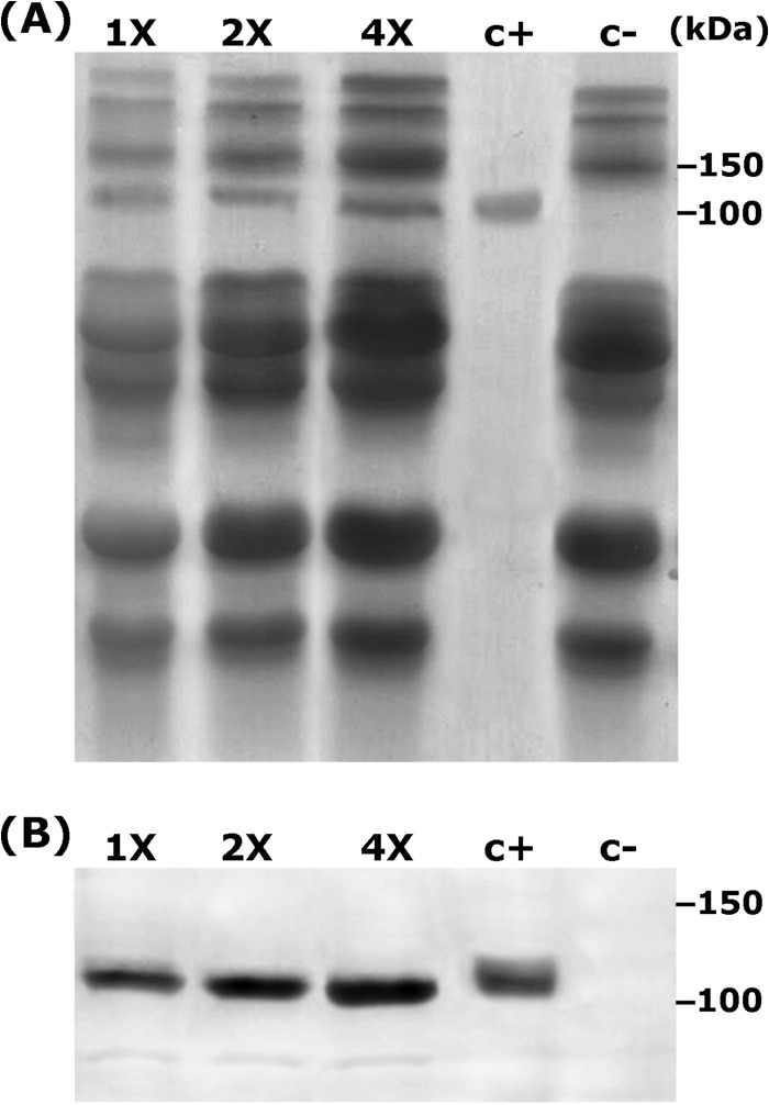 FIG 3