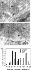 FIG. 7.