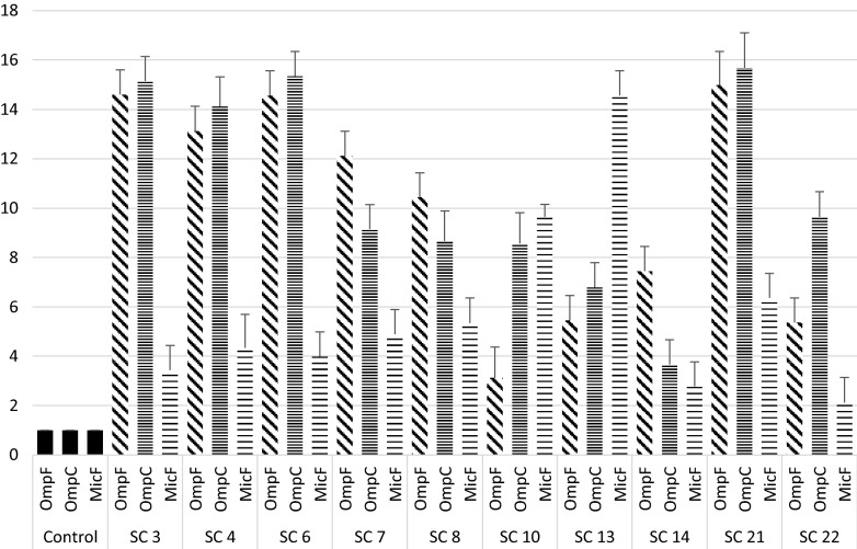 Fig. 1